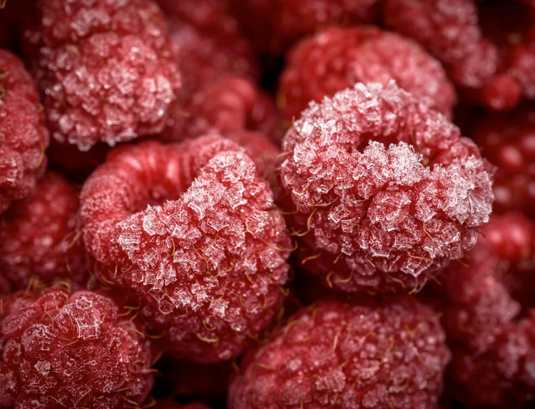 Hoe Moet Je Fruit Invriezen Koken Met Floor